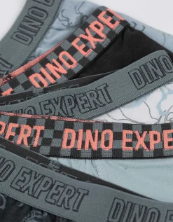 Dopodopo boys Boxershort - Set van 5 donkergrijs New
