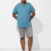 Jean Pascale Denim short - Straight fit - grijs Hot