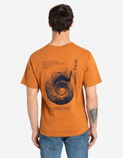 Takko T-shirt - Afdrukken achteraan - bruin Discount